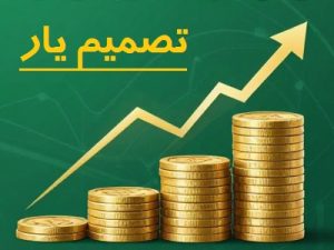 تصمیم یار سرمایه گذاری یعنی چه؟